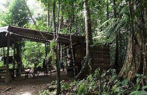 3 Rivers & Rosalie Forest Eco Lodge