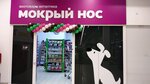 Мокрый нос (ulitsa 70 let Oktyabrya, 1), pet shop