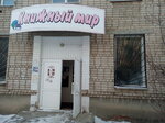 Knizhny Mir (ulitsa Stroyploshchadka, 21), bookstore