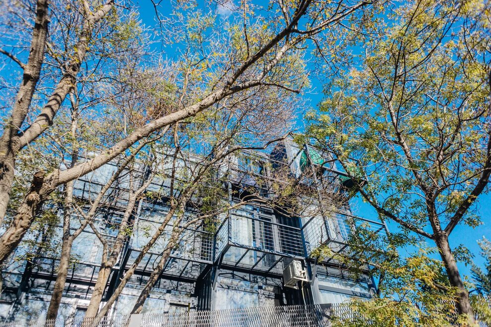 Фото ДЕД Орло