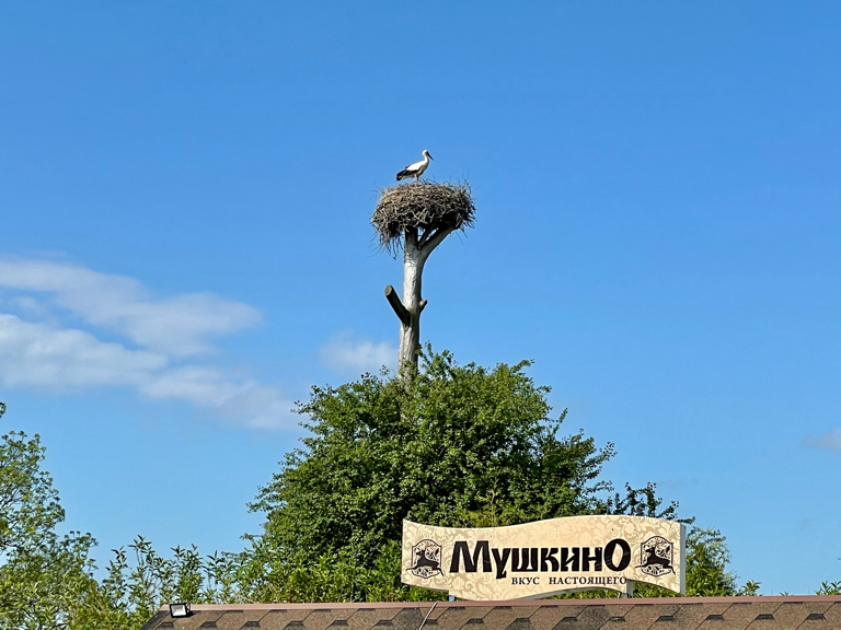 Фото Гостевой дом Мушкино