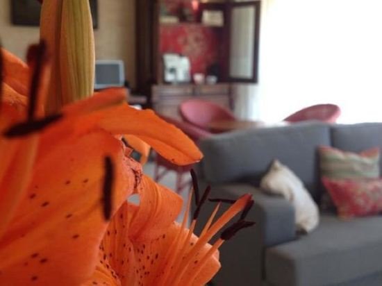 Фото Lirio D'Agua Hotel