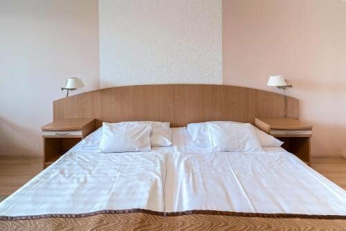 Гостиница Barátság SPA & Wellness Hotel в Хайдусобосло