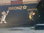 Bronza cleaning (ulitsa Frunze, 22), cleaning services
