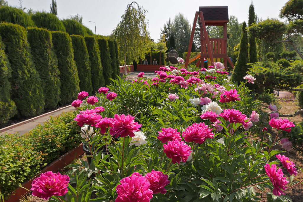 Garden center Garden centre Romashkino Park, Moscow and Moscow Oblast, photo