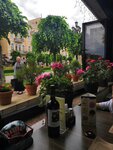 Veranda (Kurortny bulvar, 6Б) ، مقهى