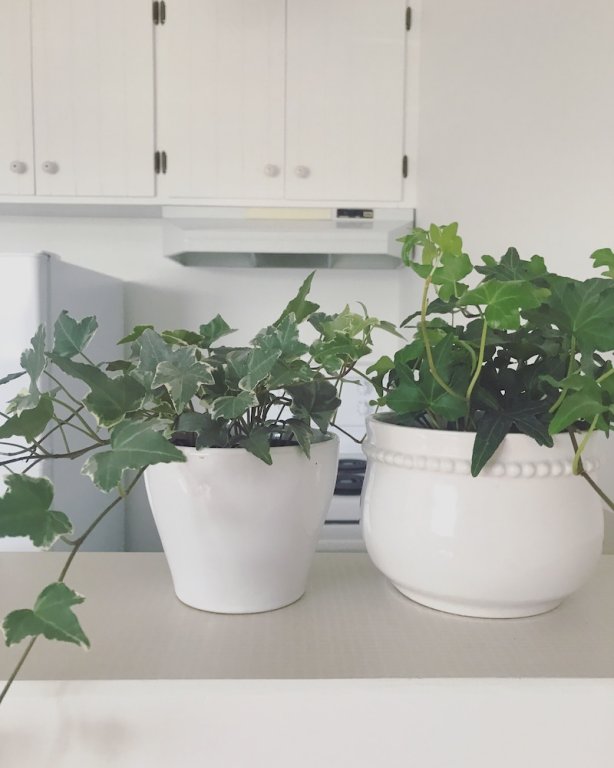 Фото Banbridge Inn