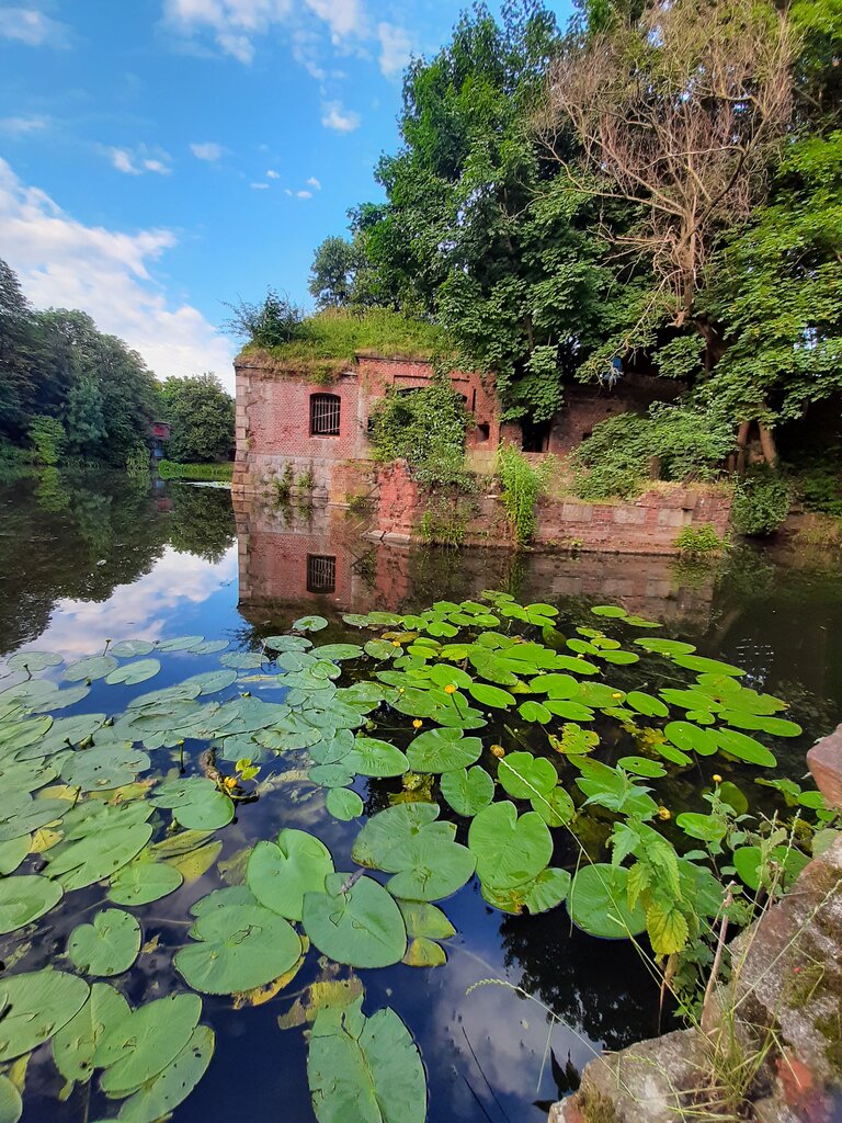 Парк Южный Калининград Фото