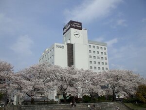 Гостиница Tottori City Hotel