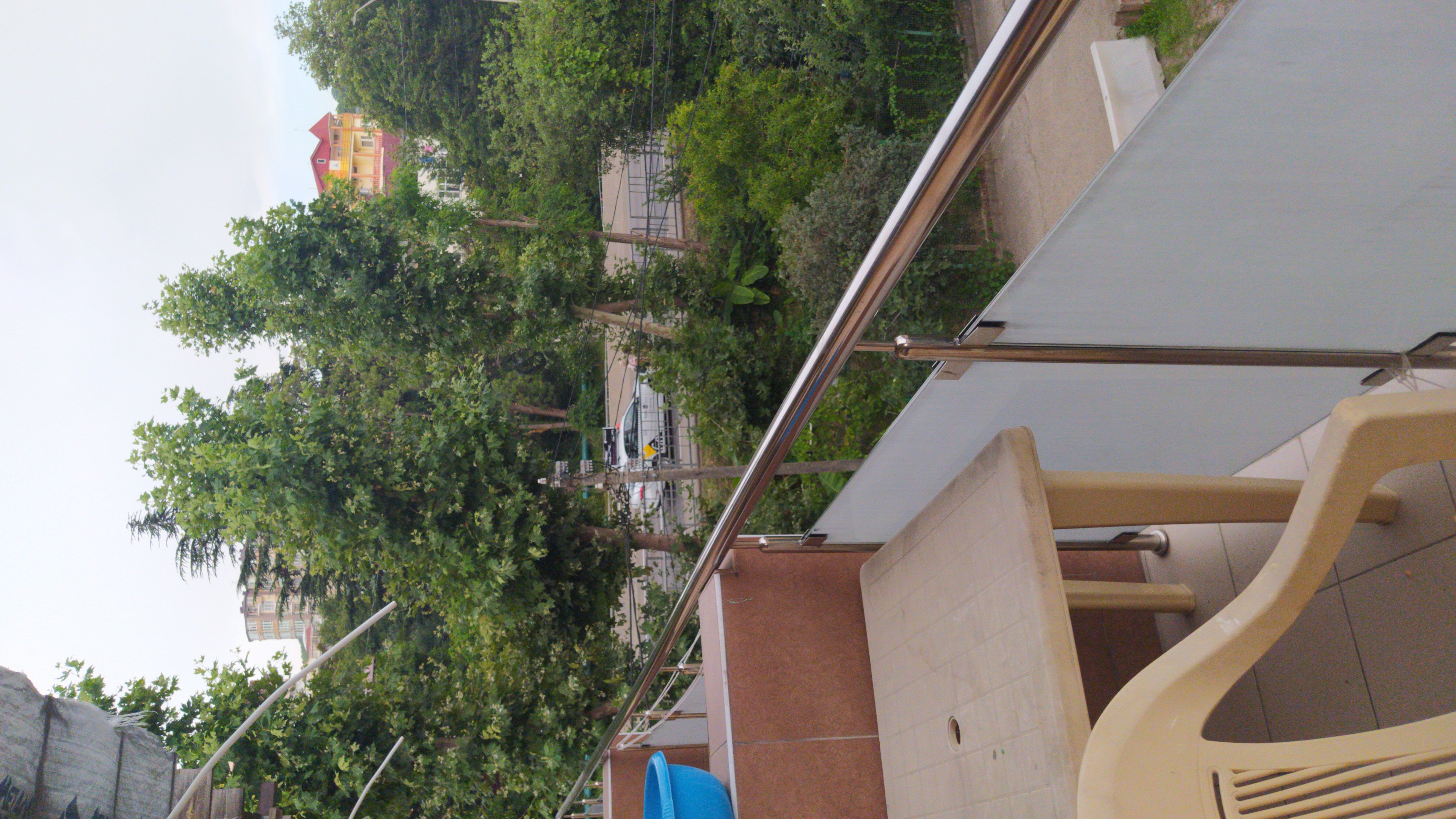 Фото Креатида