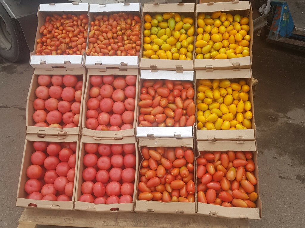Панорама: Планета-31, оптовый склад, овощи и фрукты оптом, Олимпийская ул., 68, 