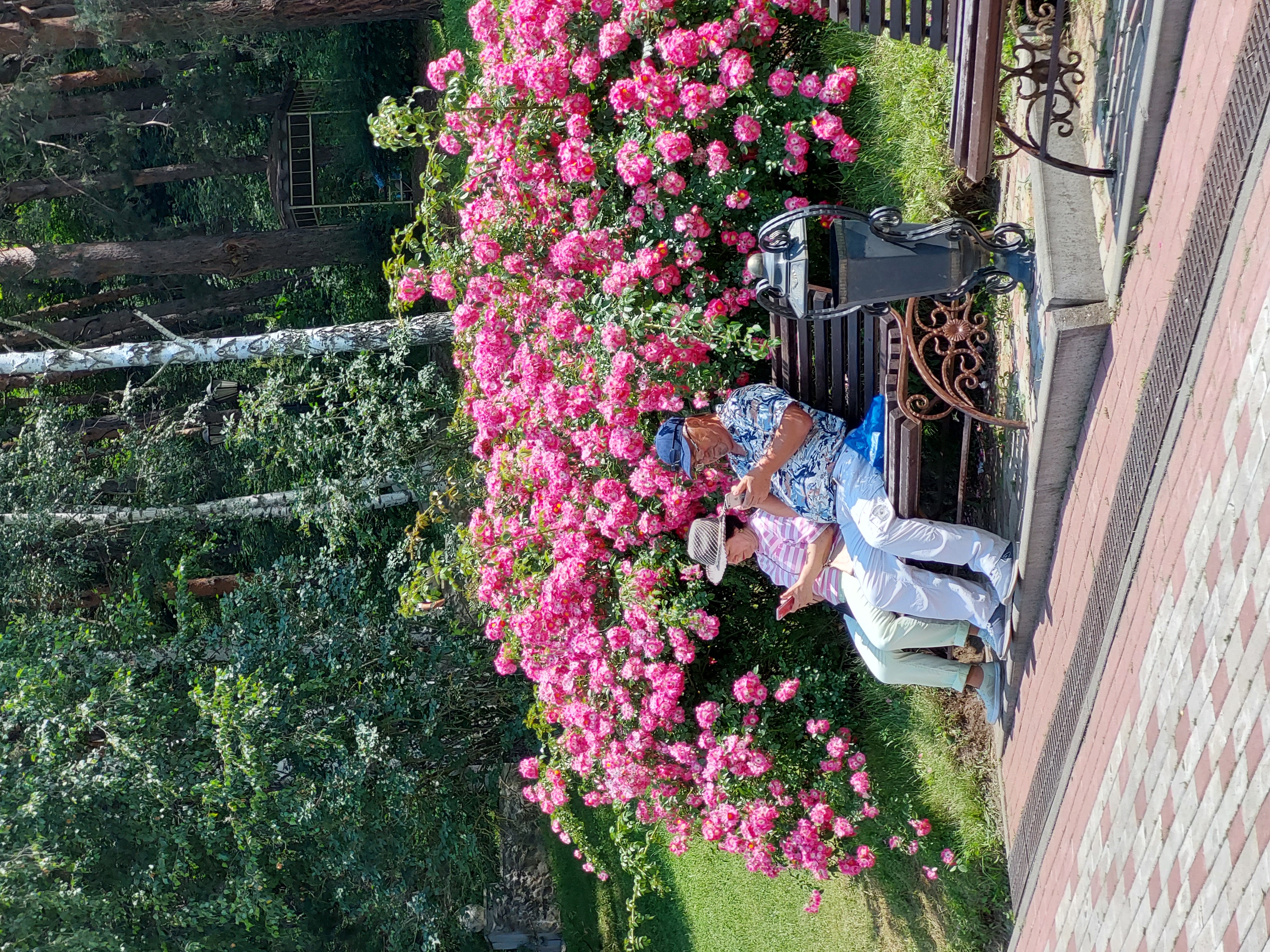 Фото Нарзан Вест