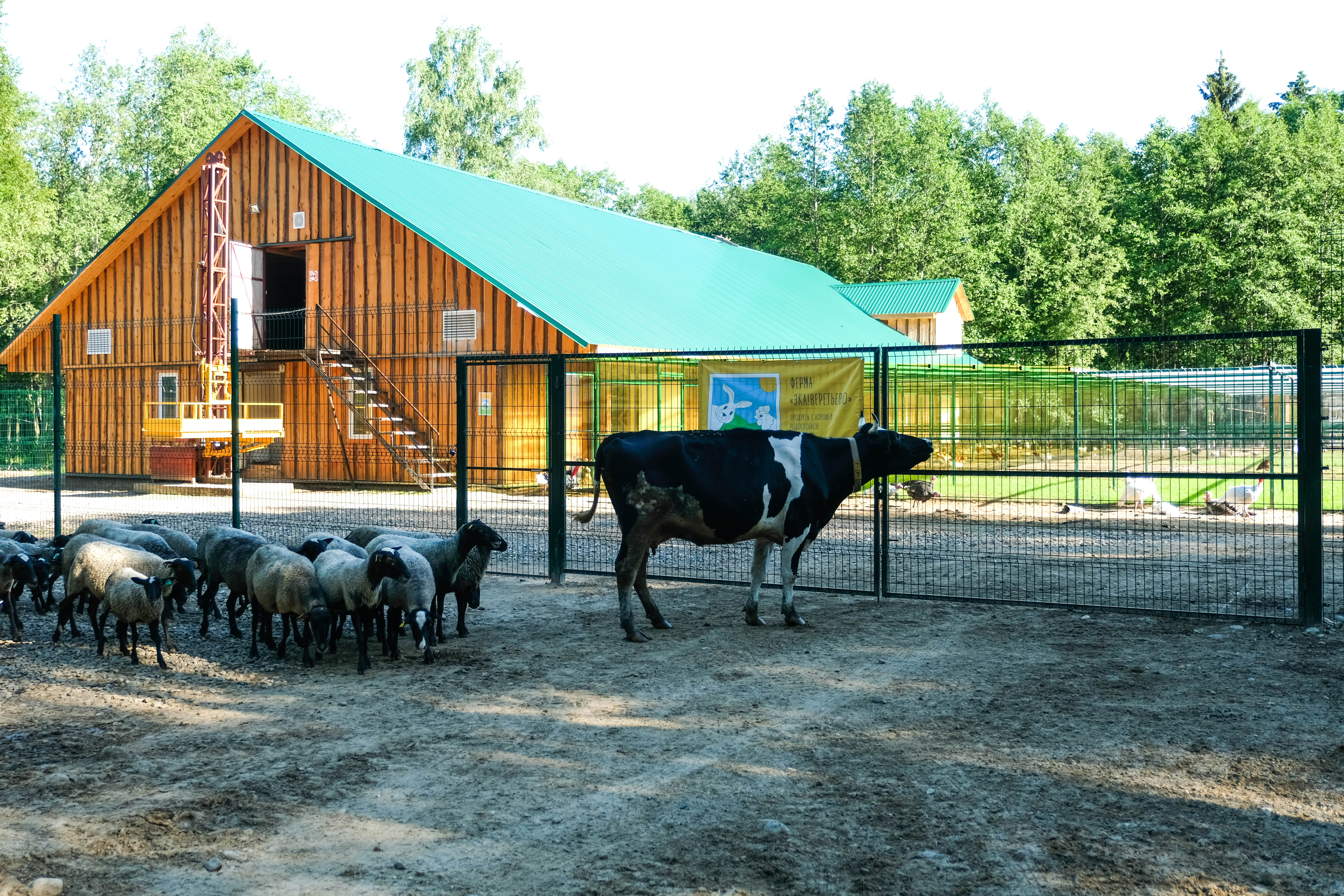 Фото Арт-Усадьба Веретьево