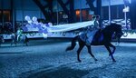 Мечта (posyolok gorodskogo tipa Rzhavki, 16А) ، ركوب الخيل