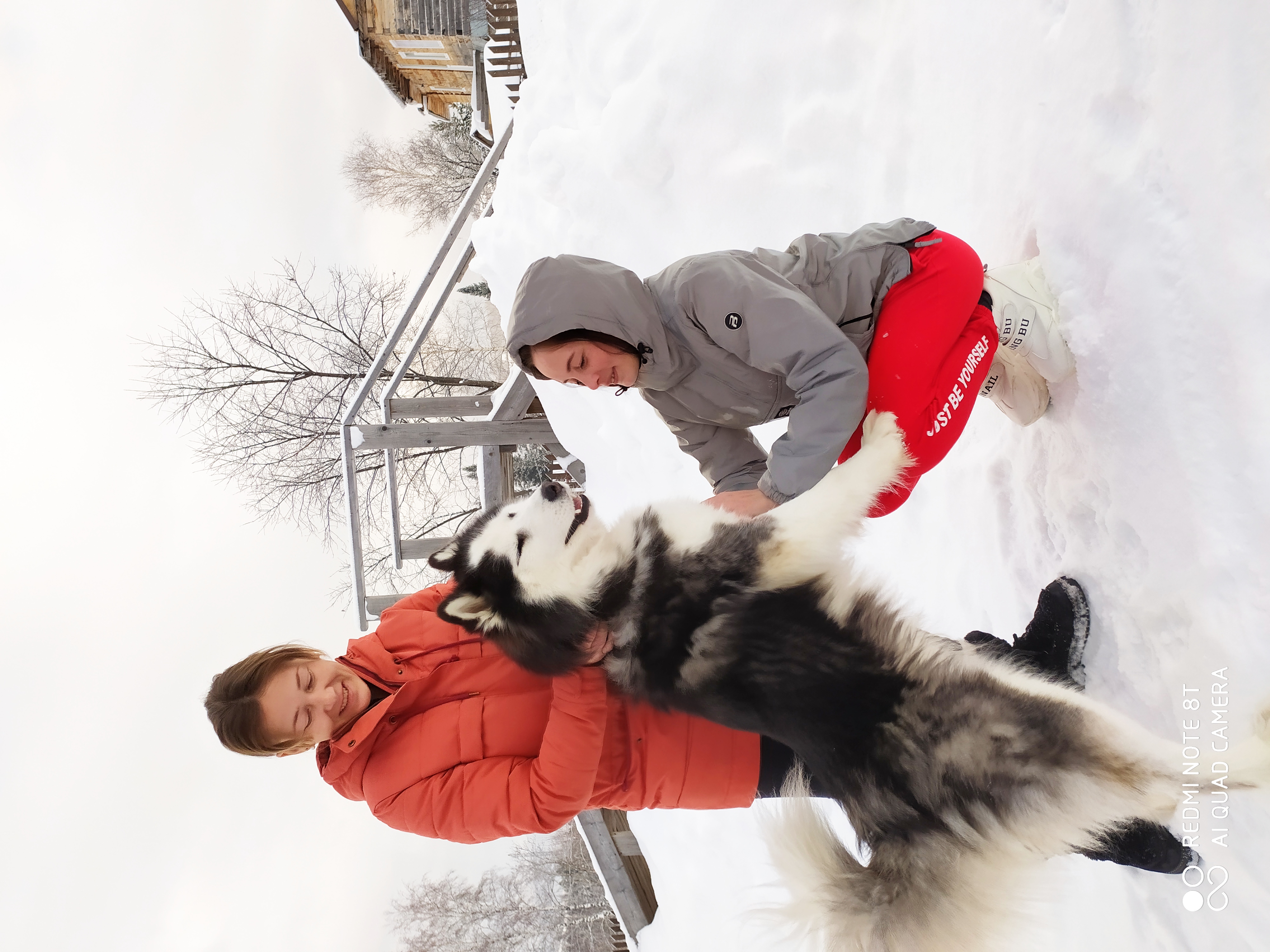 Фото Panda house