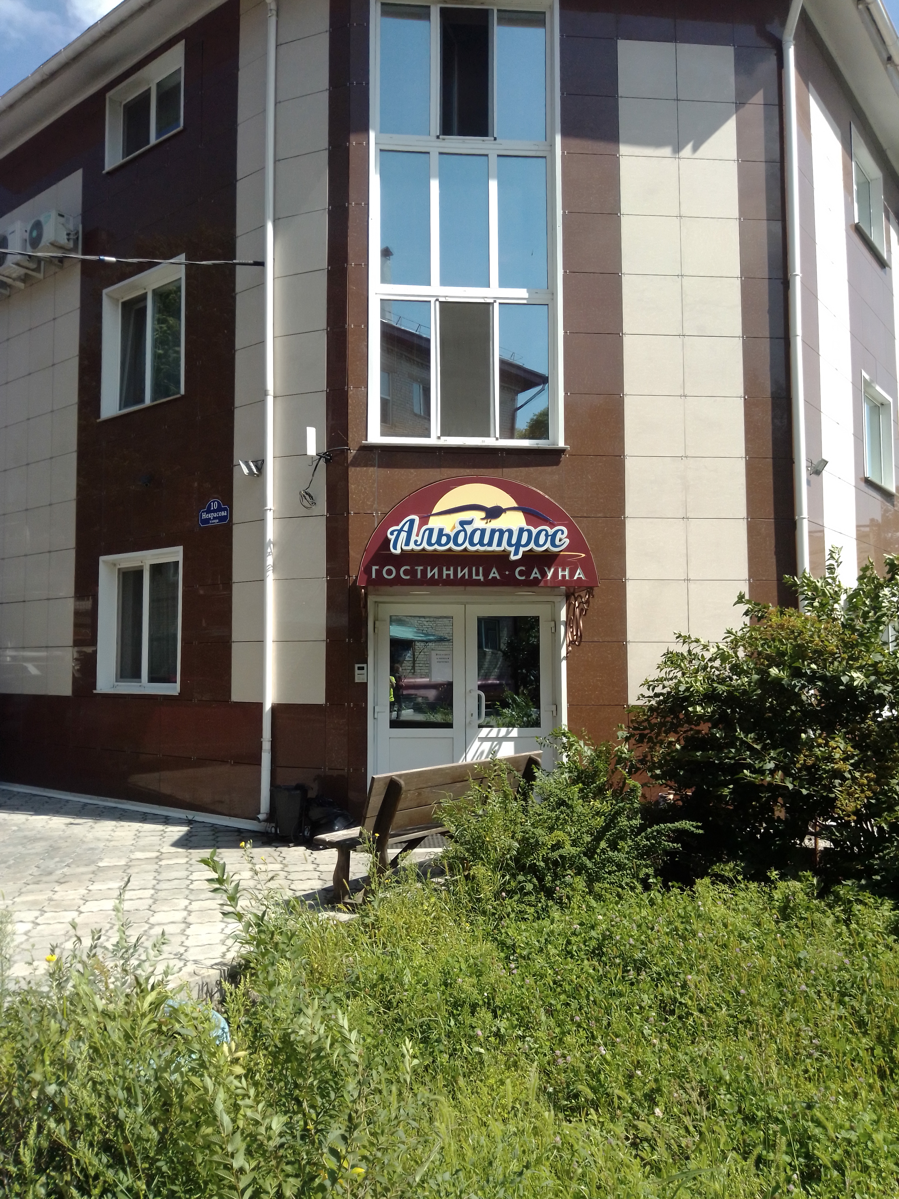 Фото Альбатрос