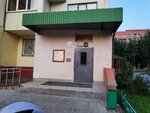 Солнечная 23 (Solnechnaya ulitsa, 23), hoa, junta directiva de snt