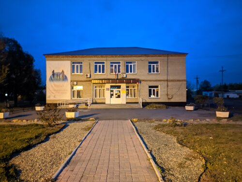 Социальная служба Комплексный центр социального обслуживания населения Карасукского района, Карасук, фото