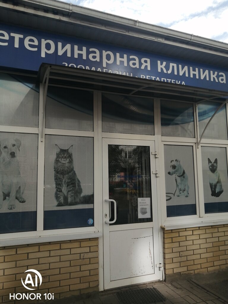 Айболит ул чехова 346 3 фото