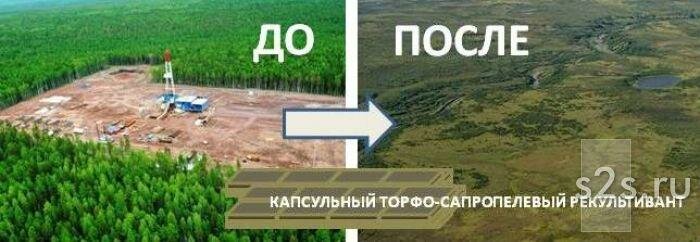 Разработка проекта рекультивации земельного участка