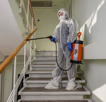DezClin (Frunze Street, 4), disinfection, disinsection, deratization