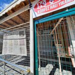 Khy Körfez Halı Yıkama (Kocaeli, Derince, Çenedere Cad., 99), carpet cleaning