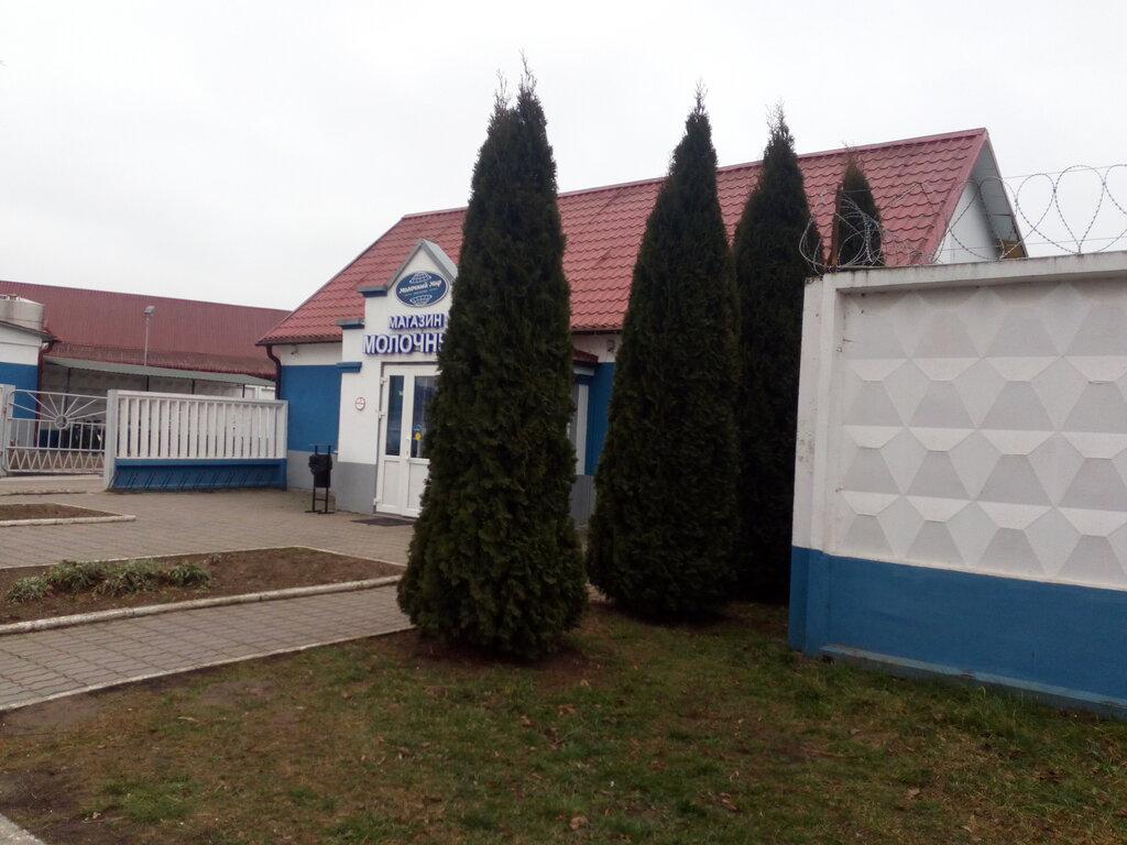 Производство продуктов питания Молочный мир, Скидель, фото
