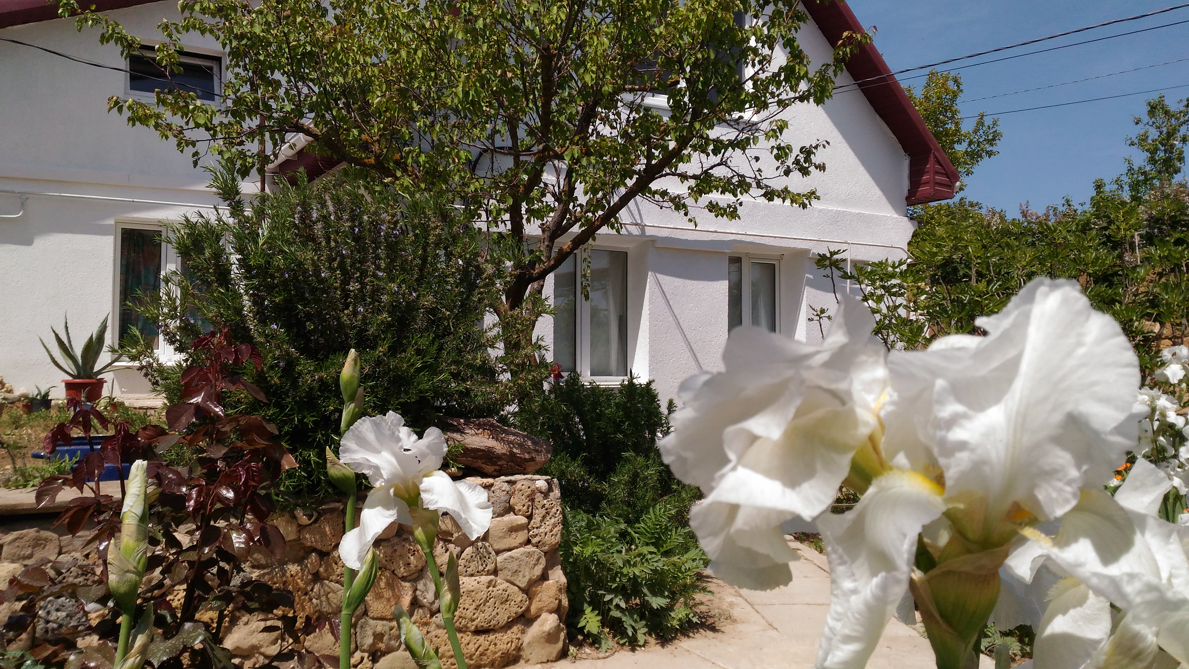 Фото СимСим