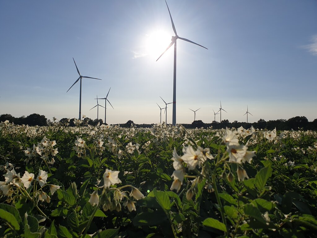 Grocery Kartoffelhof Moorschlatt Inh. Heiko Moorschlatt, Lower Saxony, photo