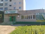 Муниципальное бюджетное учреждение городской центр по благоустройству и озеленению города Ульяновска (просп. Гая, 87Б), городское благоустройство в Ульяновске