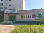 Mbu Gorodskoy tsentr blagoustroystva i ozeleneniya goroda Ulyanovska (Ulyanovsk, Gaya Avenue, 87Б), urban improvement