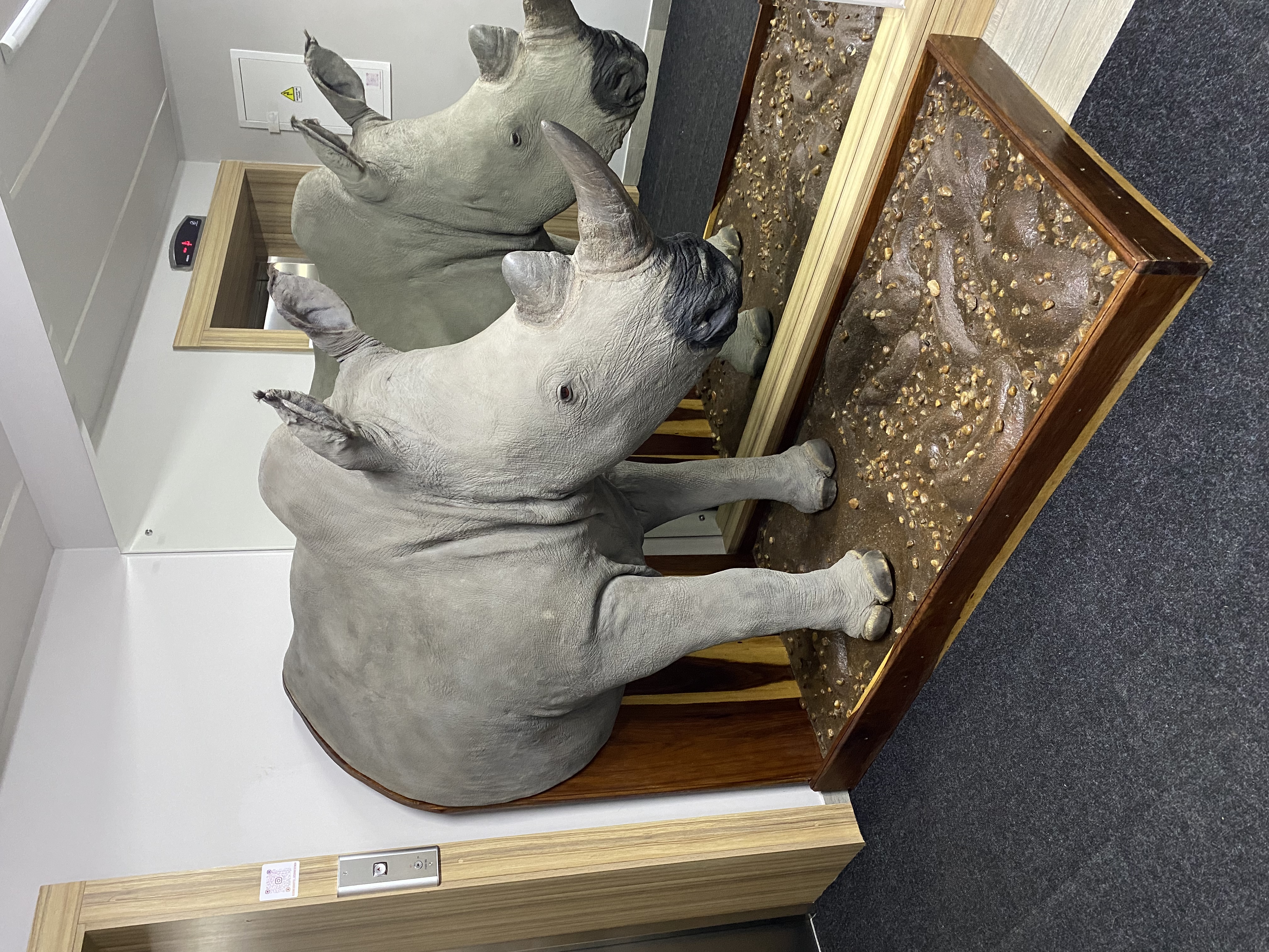 Фото Бизнес отель Воскресенск