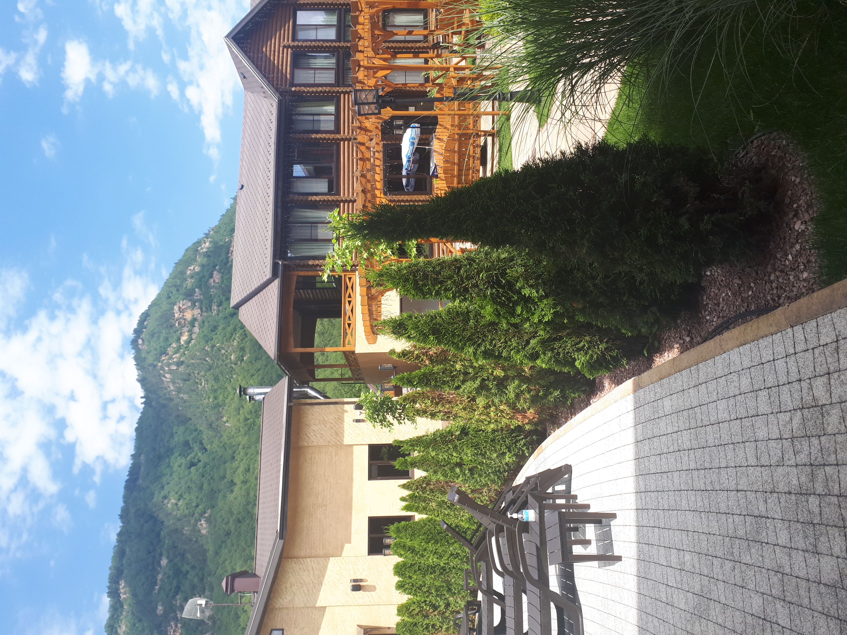 Фото Династия