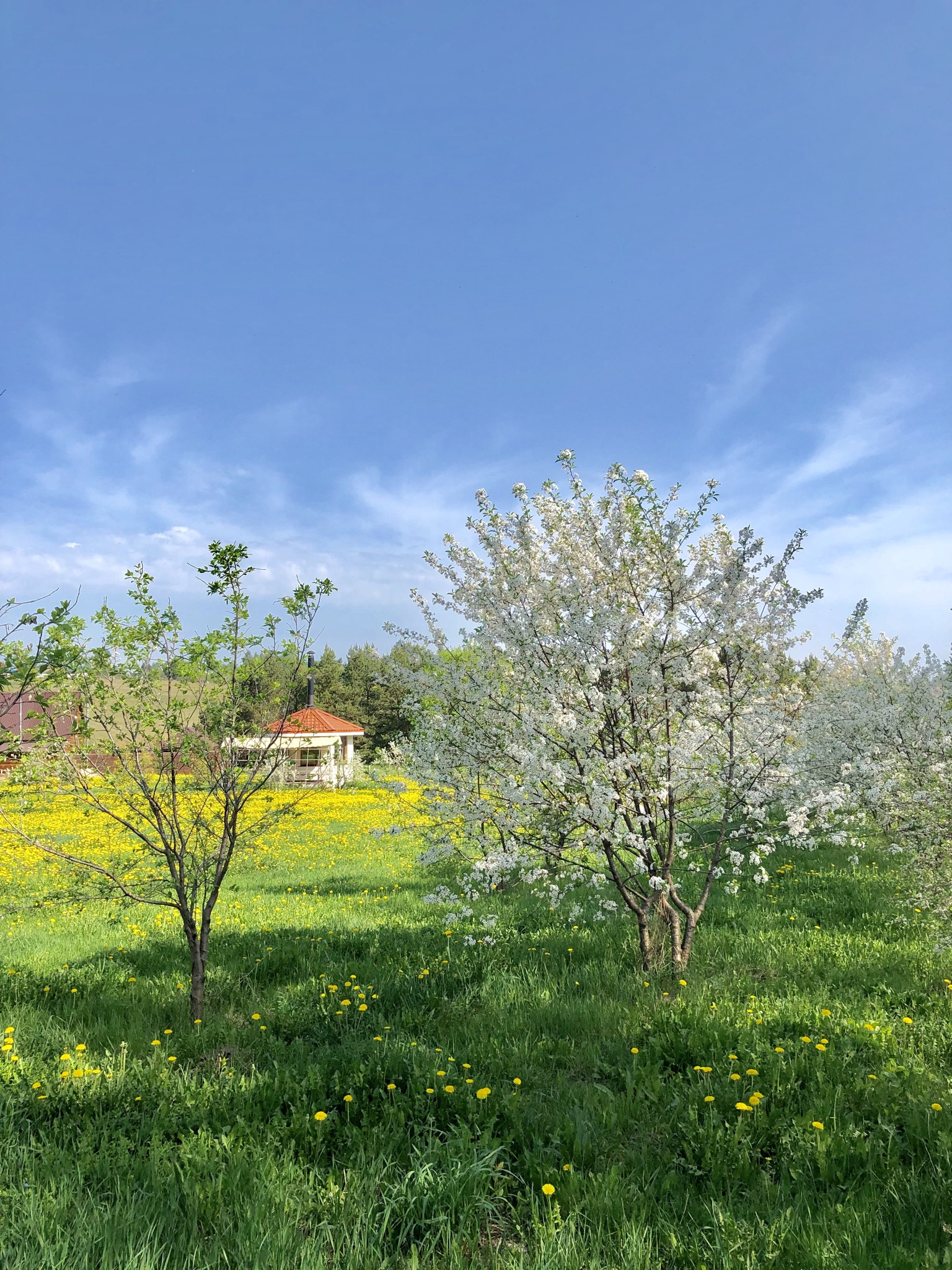 Фото Заимка