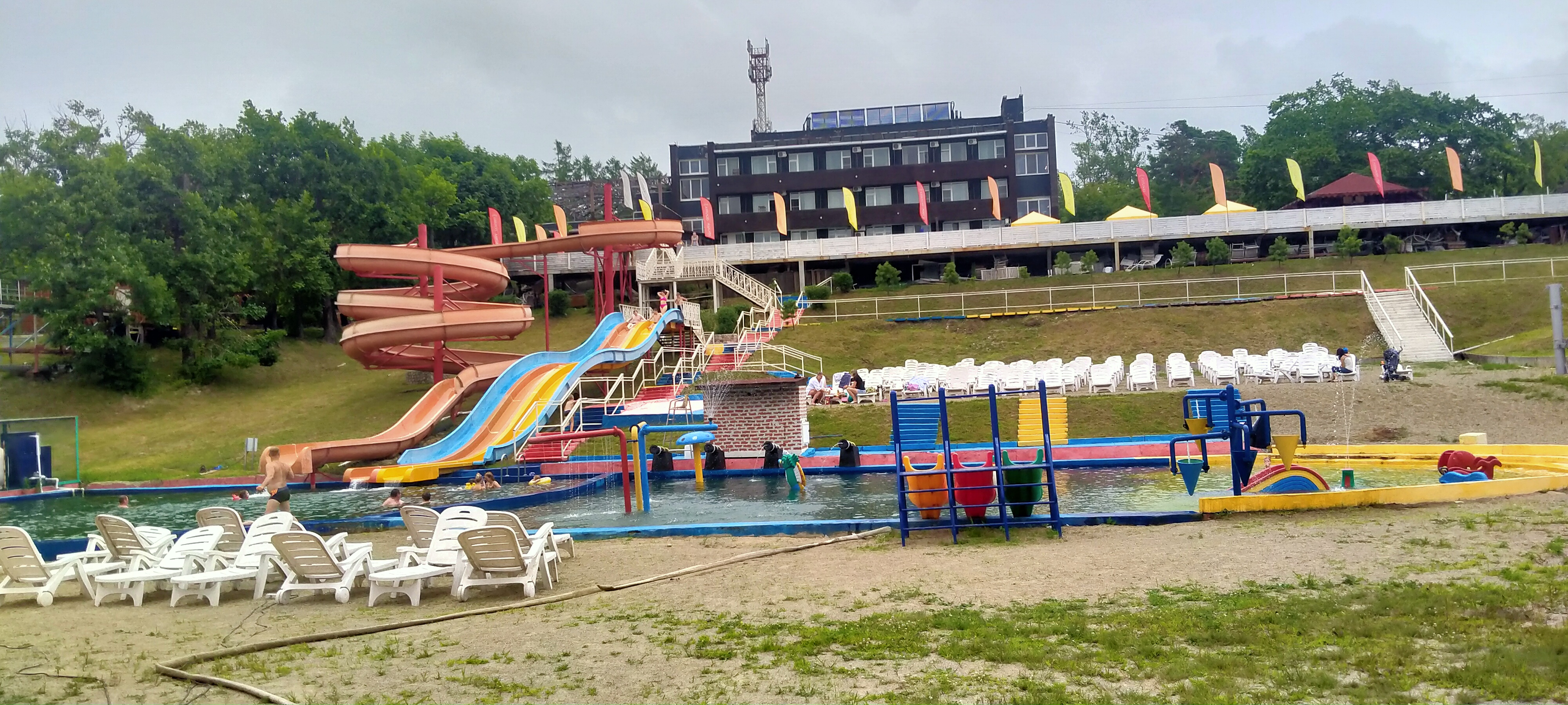 Фото Лесная поляна