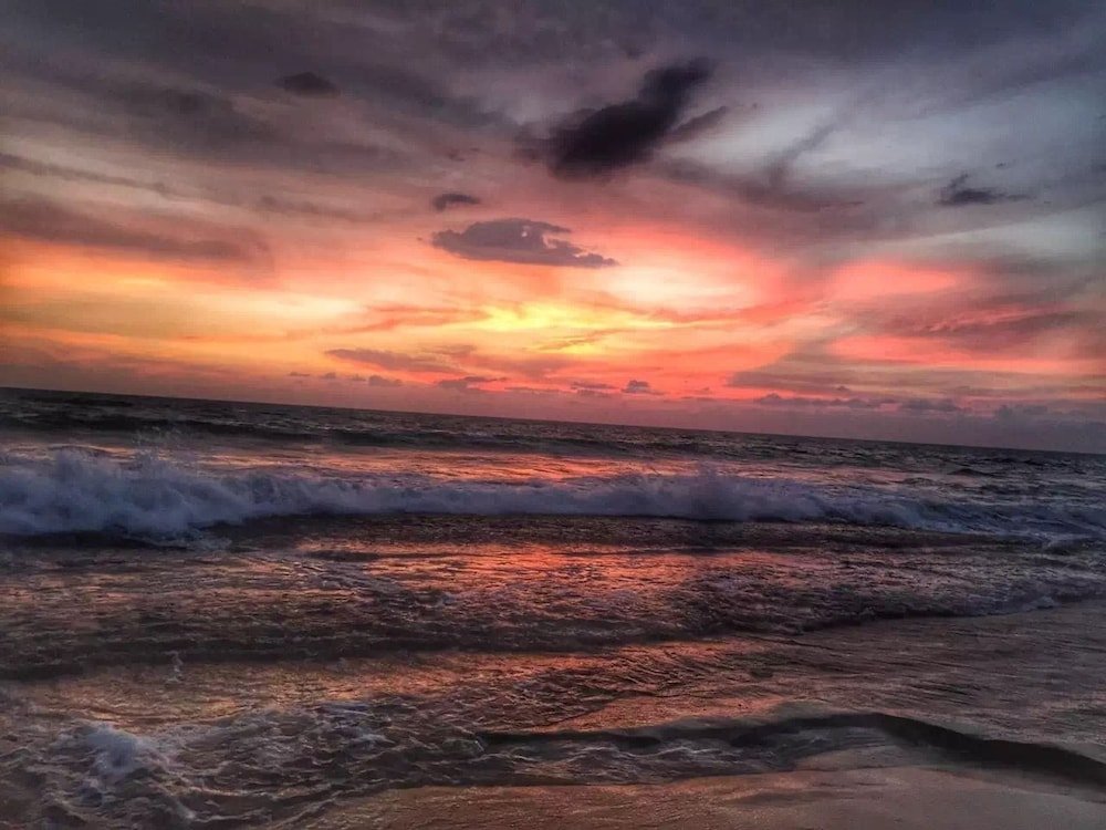 Фото Ziegler Cottage