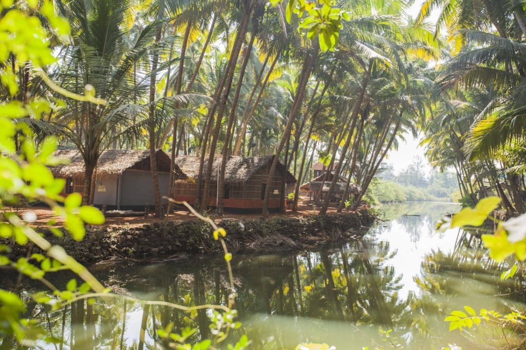 Фото Palm Trees Ayurvedic Heritage