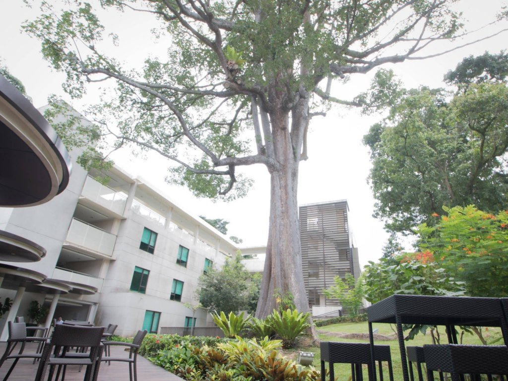 Фото Changi Cove