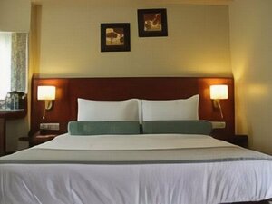 Гостиница Hotel Green Olive