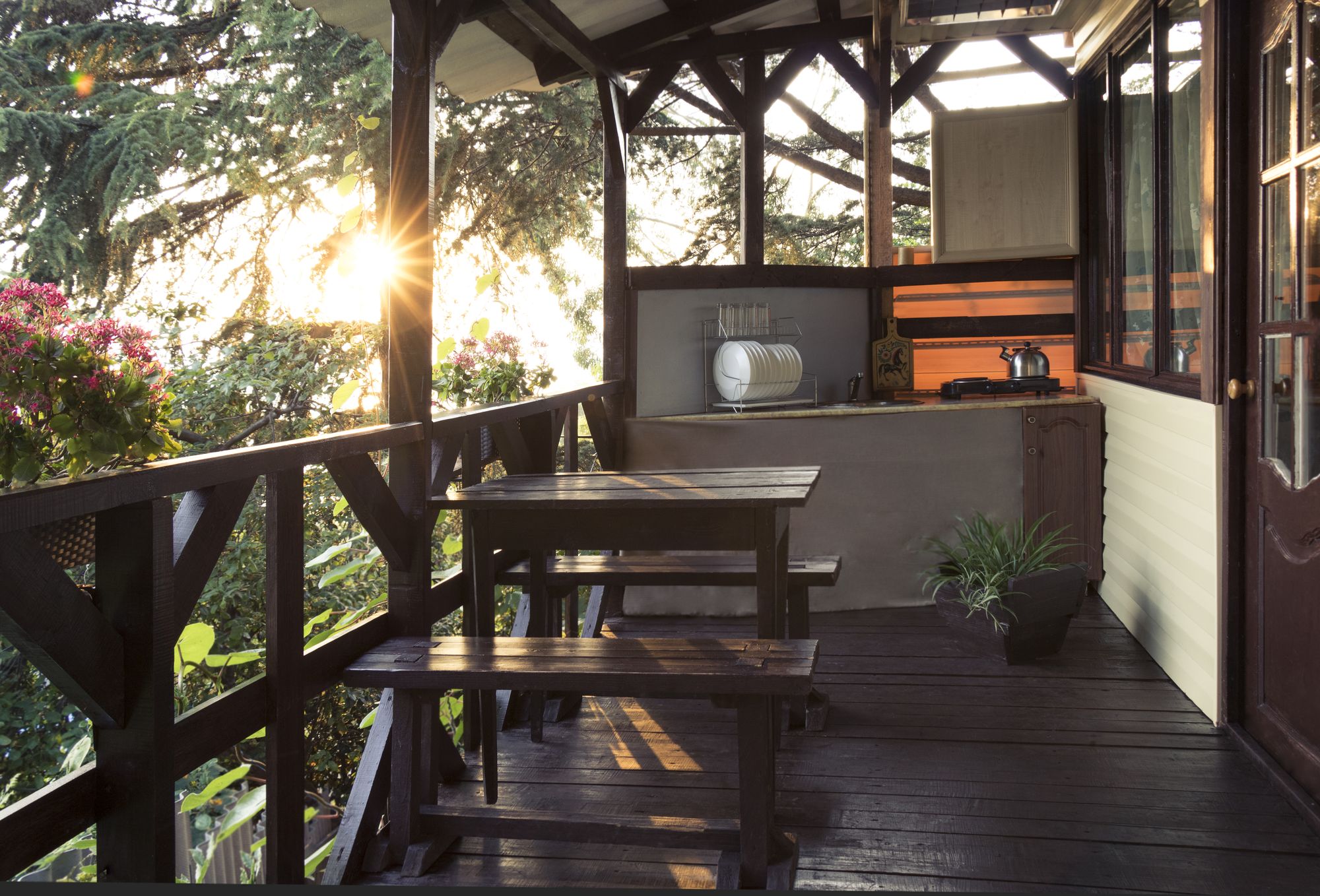 Фото Сосновый Бор