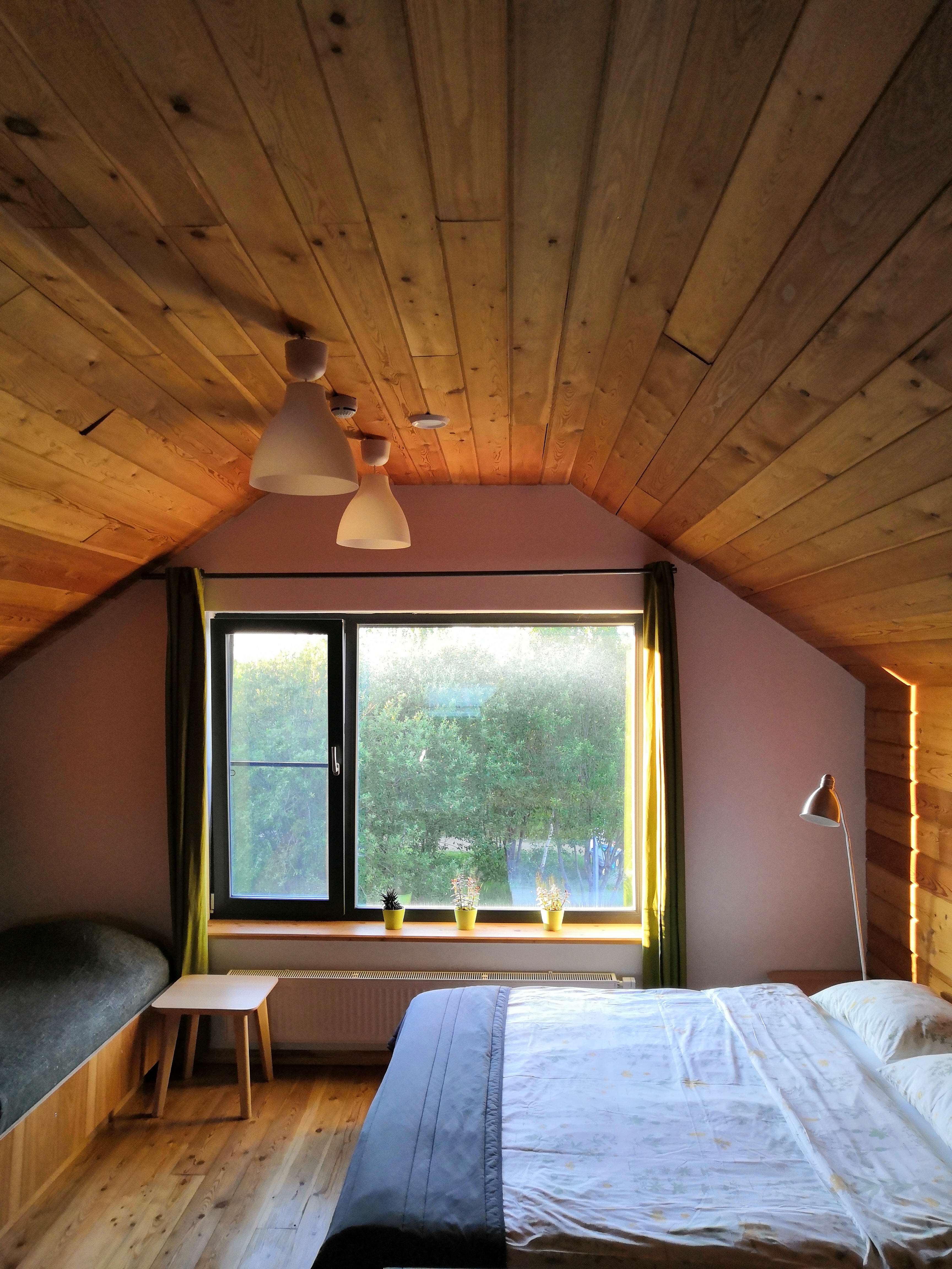 Фото Ясно Поле