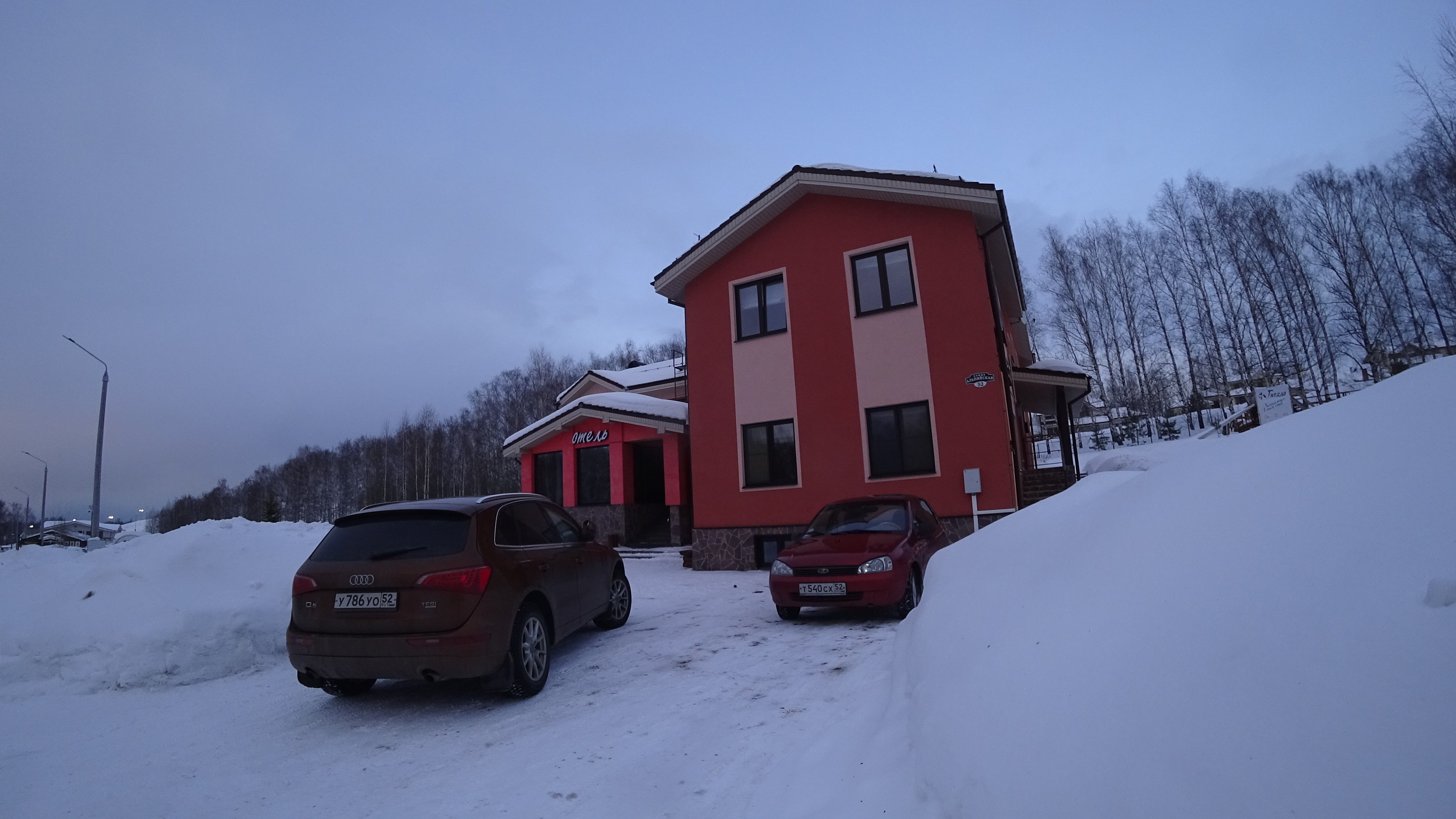 Фото Гнездо