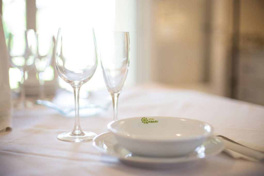 Фото Hotel Nibaru