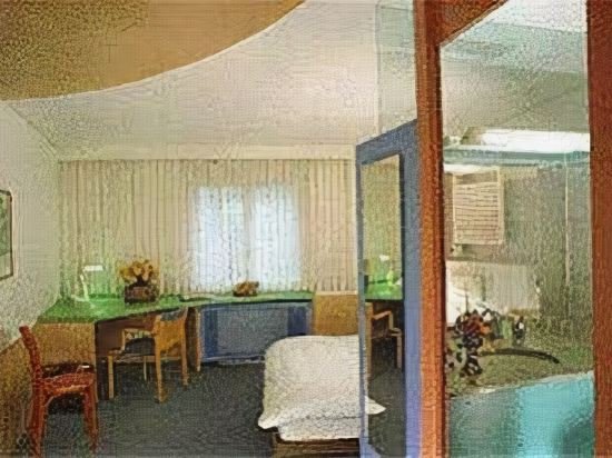 Фото Hotel Balsthal