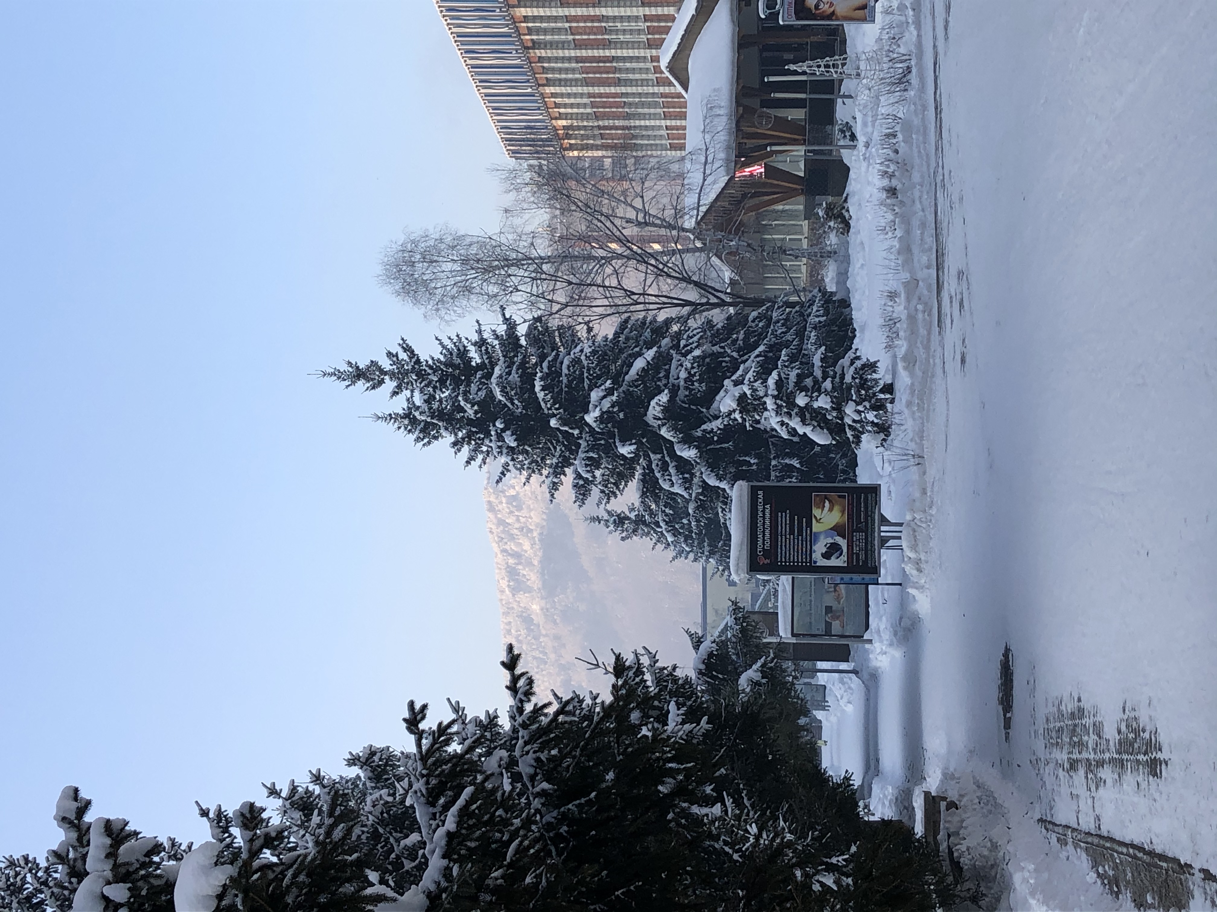 Фото Алтайский замок