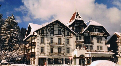 Гостиница Alpina Hotel