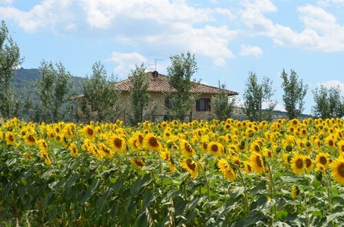 Гостиница Tuscan Style Eco-Farm Molinaccio