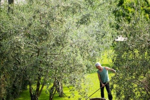 Гостиница Agriturismo Vin E Amor