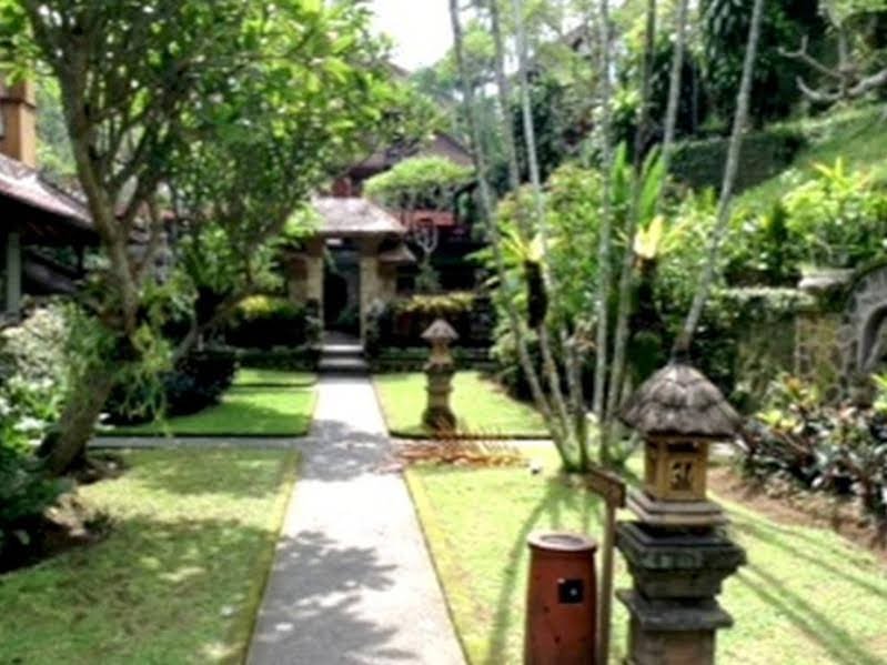 Фото Artini 2 Cottages