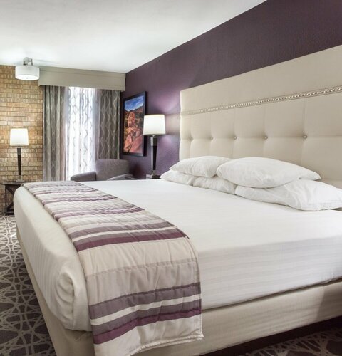 Гостиница Holiday Inn McAllen – Medical Center Area, an Ihg Hotel